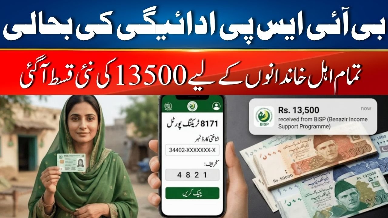 BISP 8171 Payment Resumption