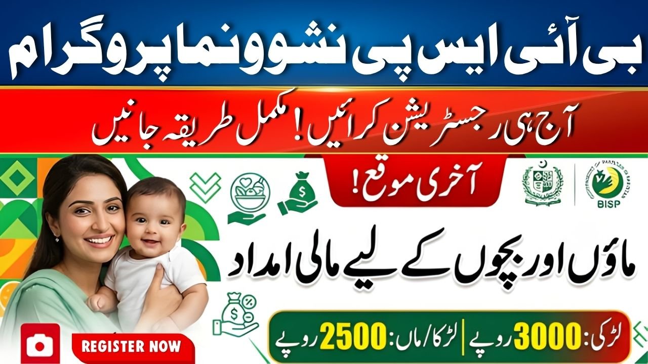 BISP Nashonuma Financial Aid